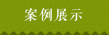 案例展示